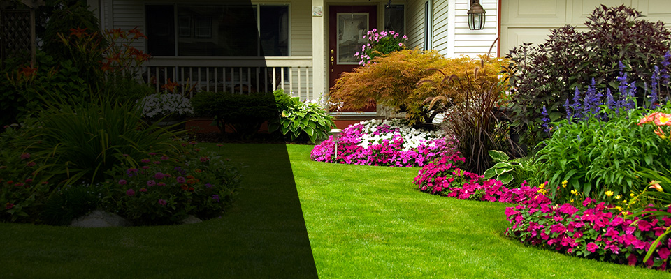 Clint Landscapers