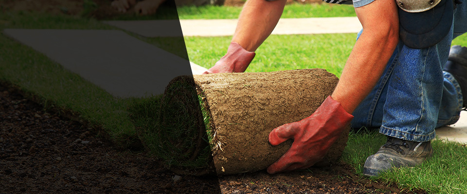 Clint Landscapers